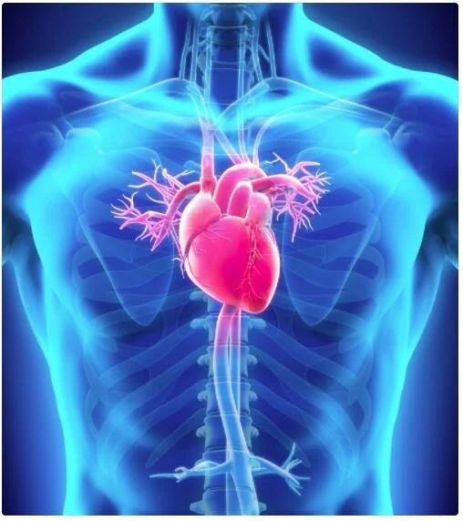How To Bounce Back From a Cardiac Event