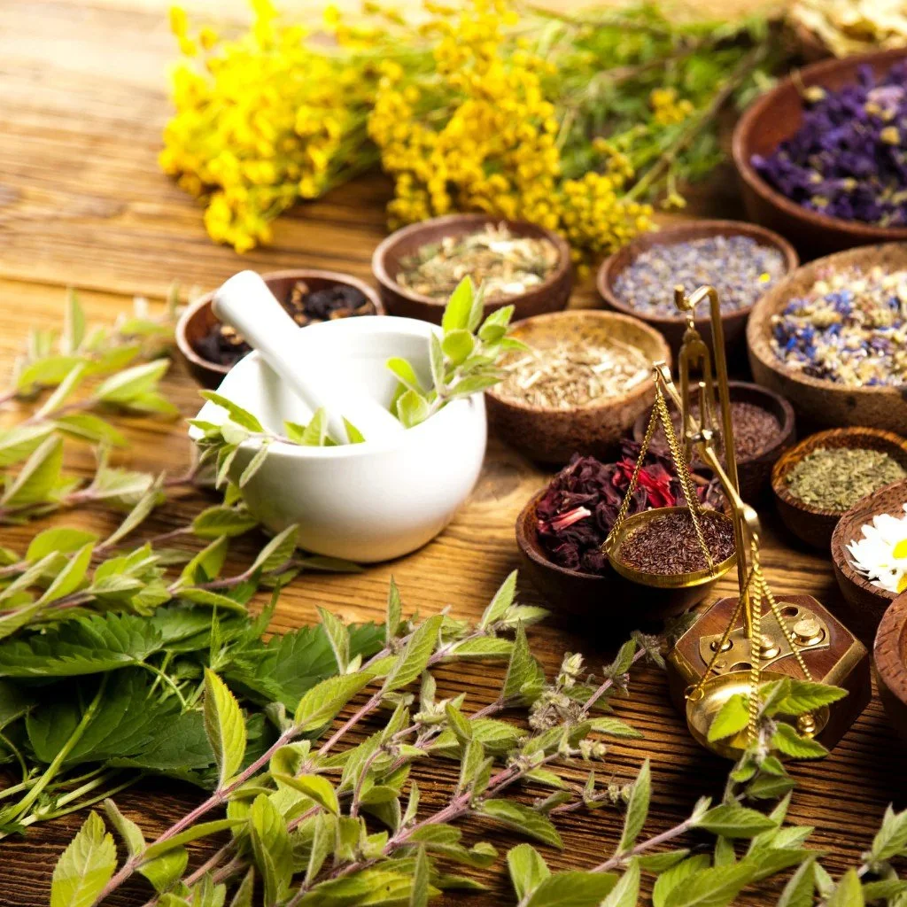 Promoting Herbs: American Botanical Councilv