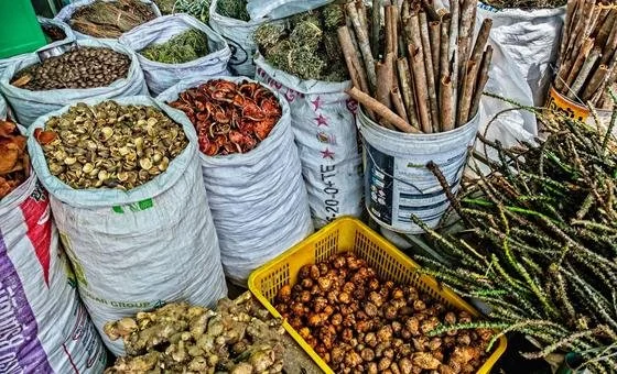 Is There a Place for Natural Medicine?