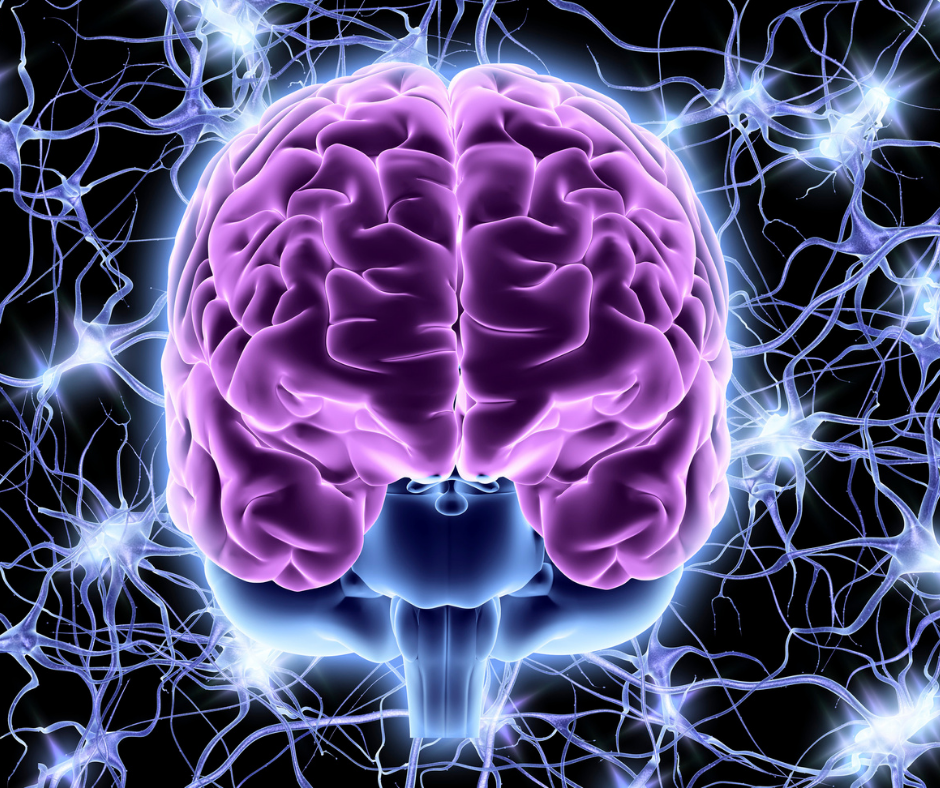 Nervous System Regulation Strategies