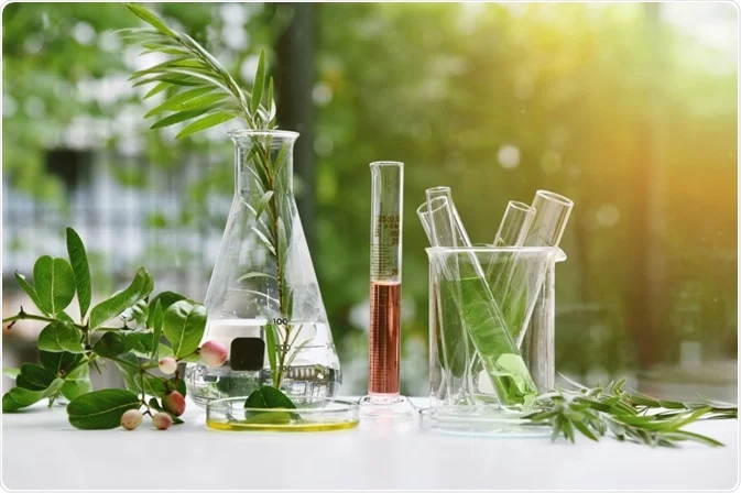 The Future of Integrative Oncology