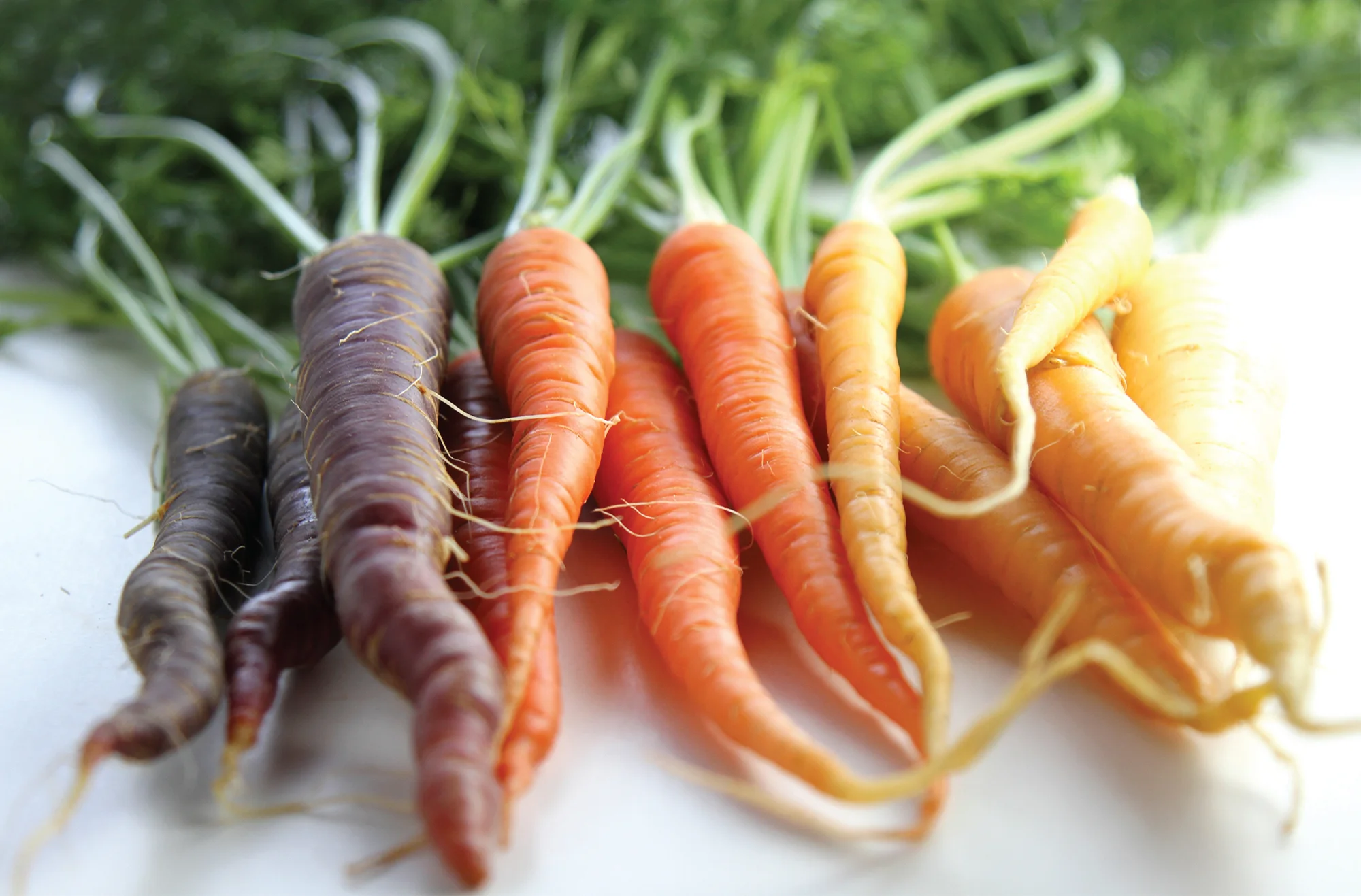 Show & Tell - Easter Tabletop Edition | April Mini-Class