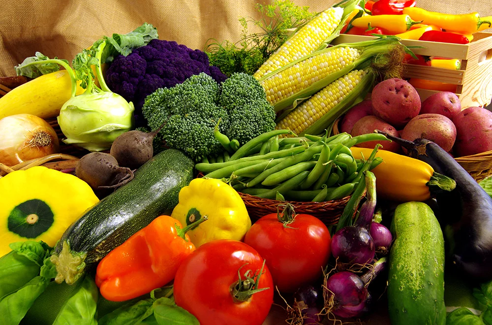 GARDEN_1000.jpg