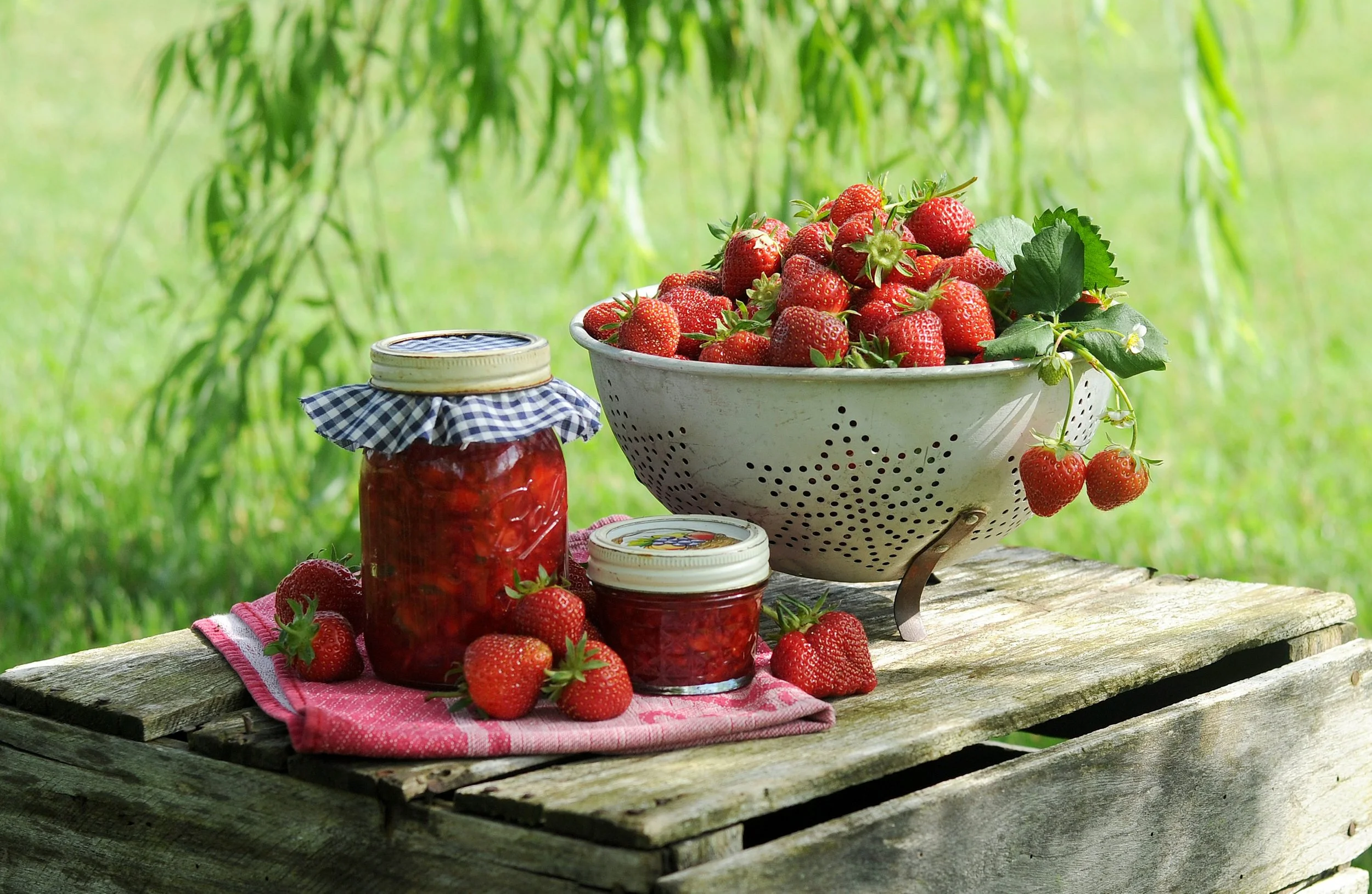 STRAWBERRY FIELDS FOREVER: A Jam Session
