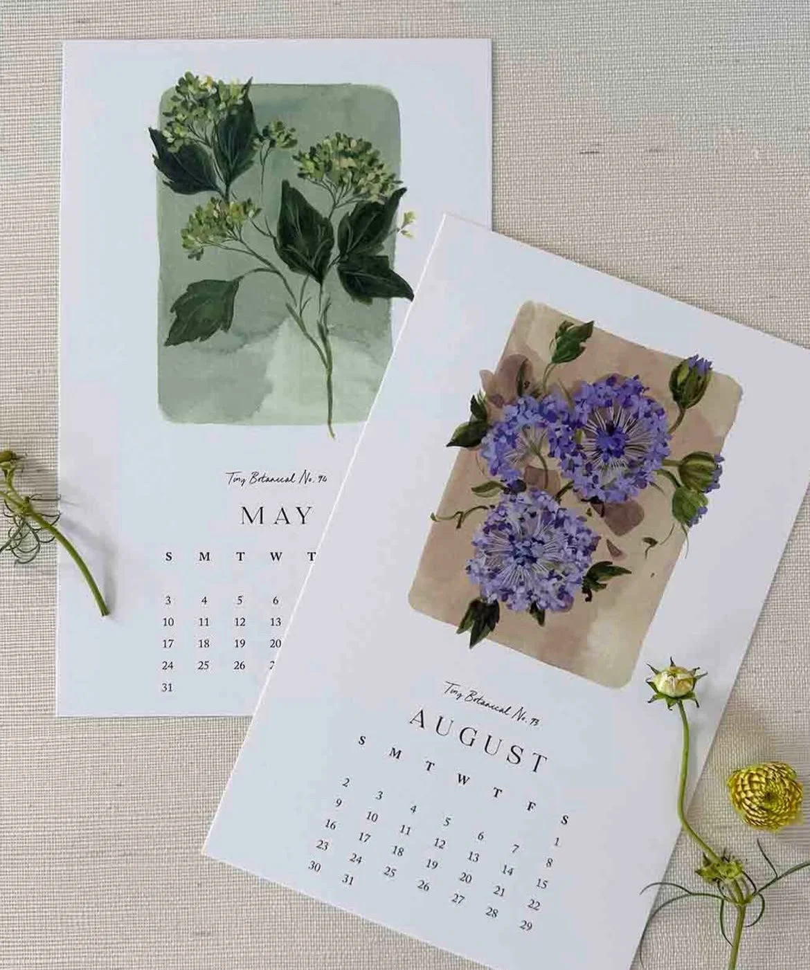 AN EVENING WITH THE ARTIST:  Kelly Ventura