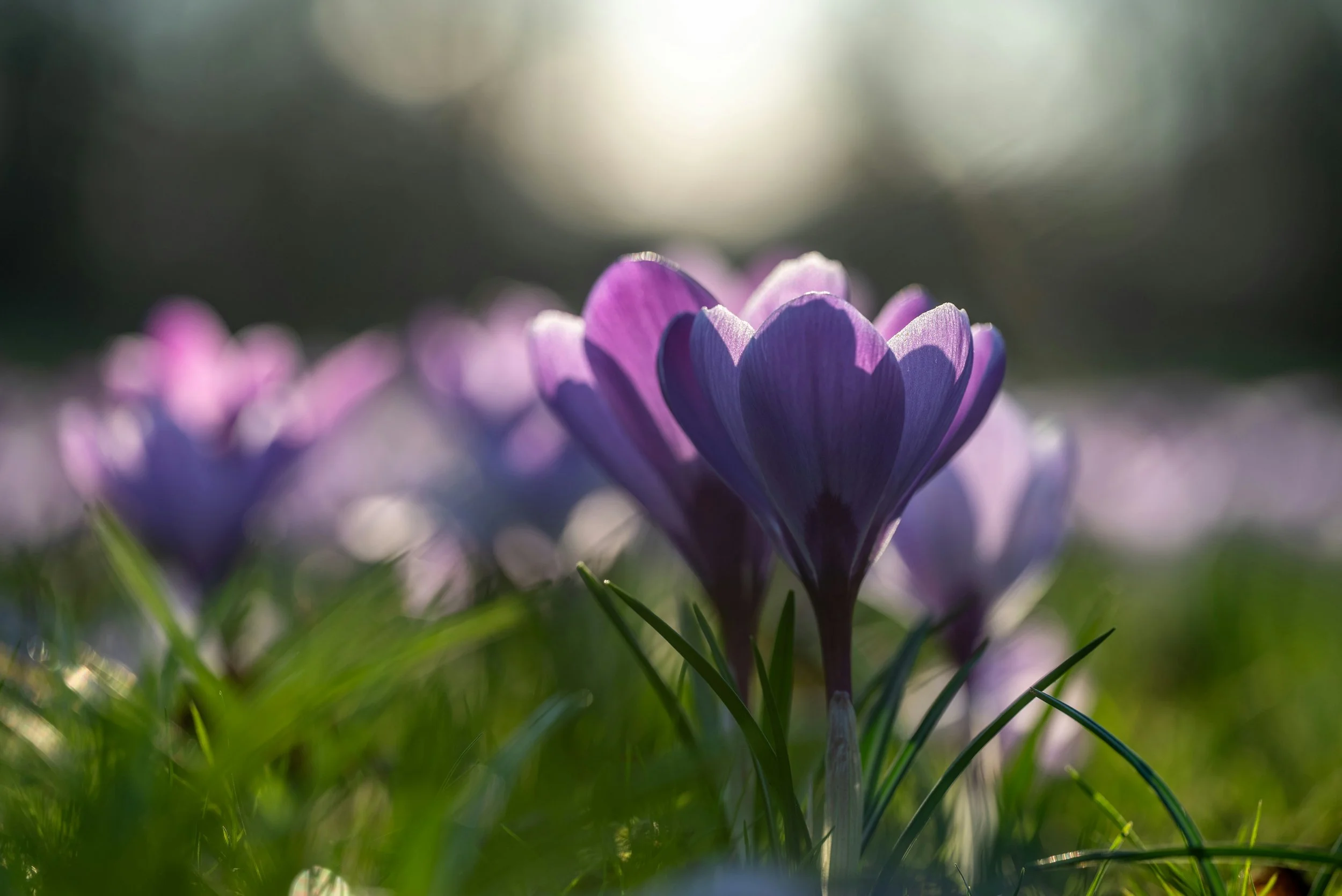 SAVORING SPRING: Our Spring Open House