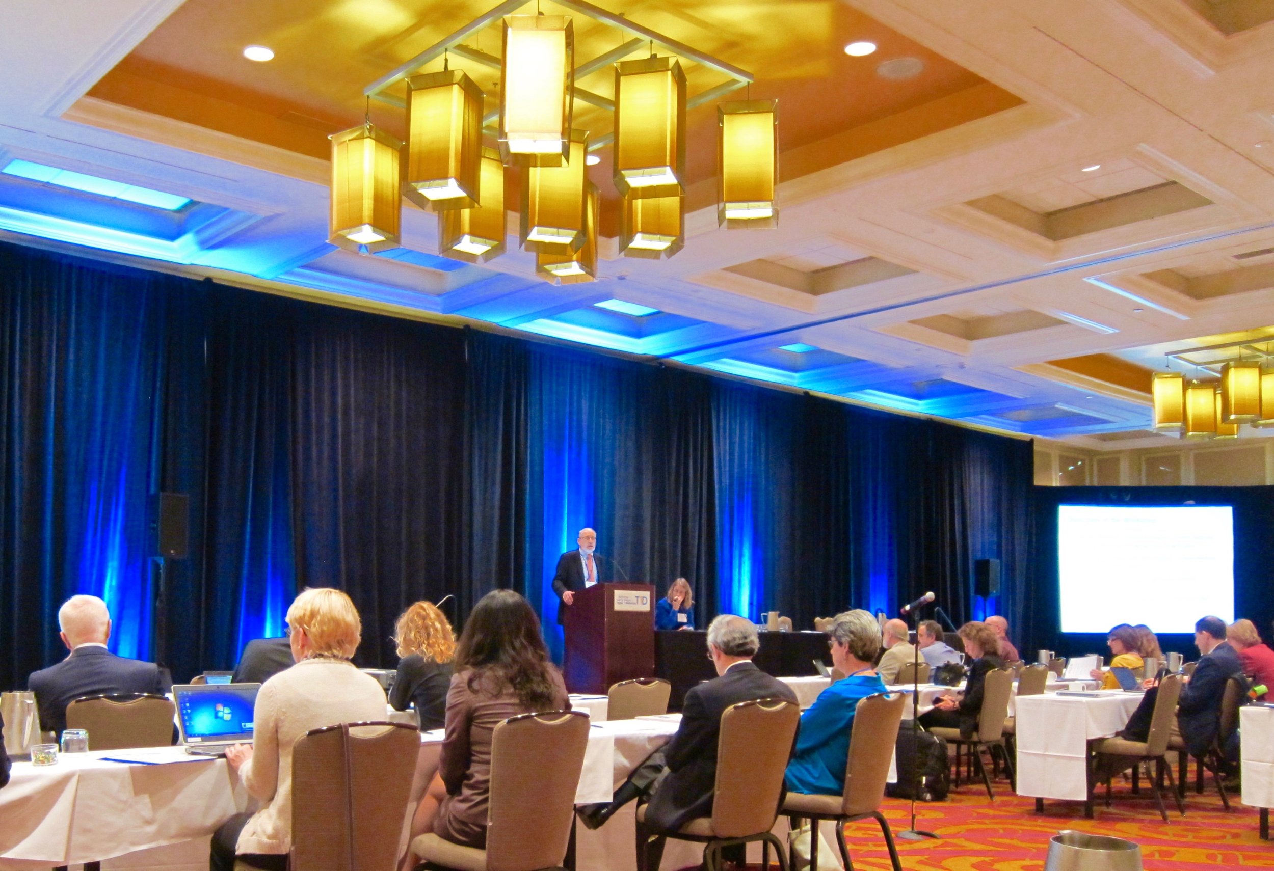 Dr. Richard Insel addresses Stages of T1D conference.