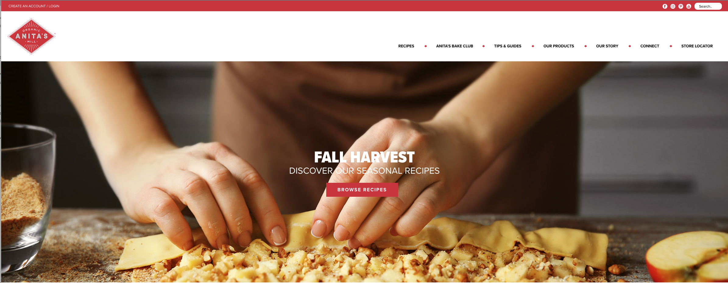website.png
