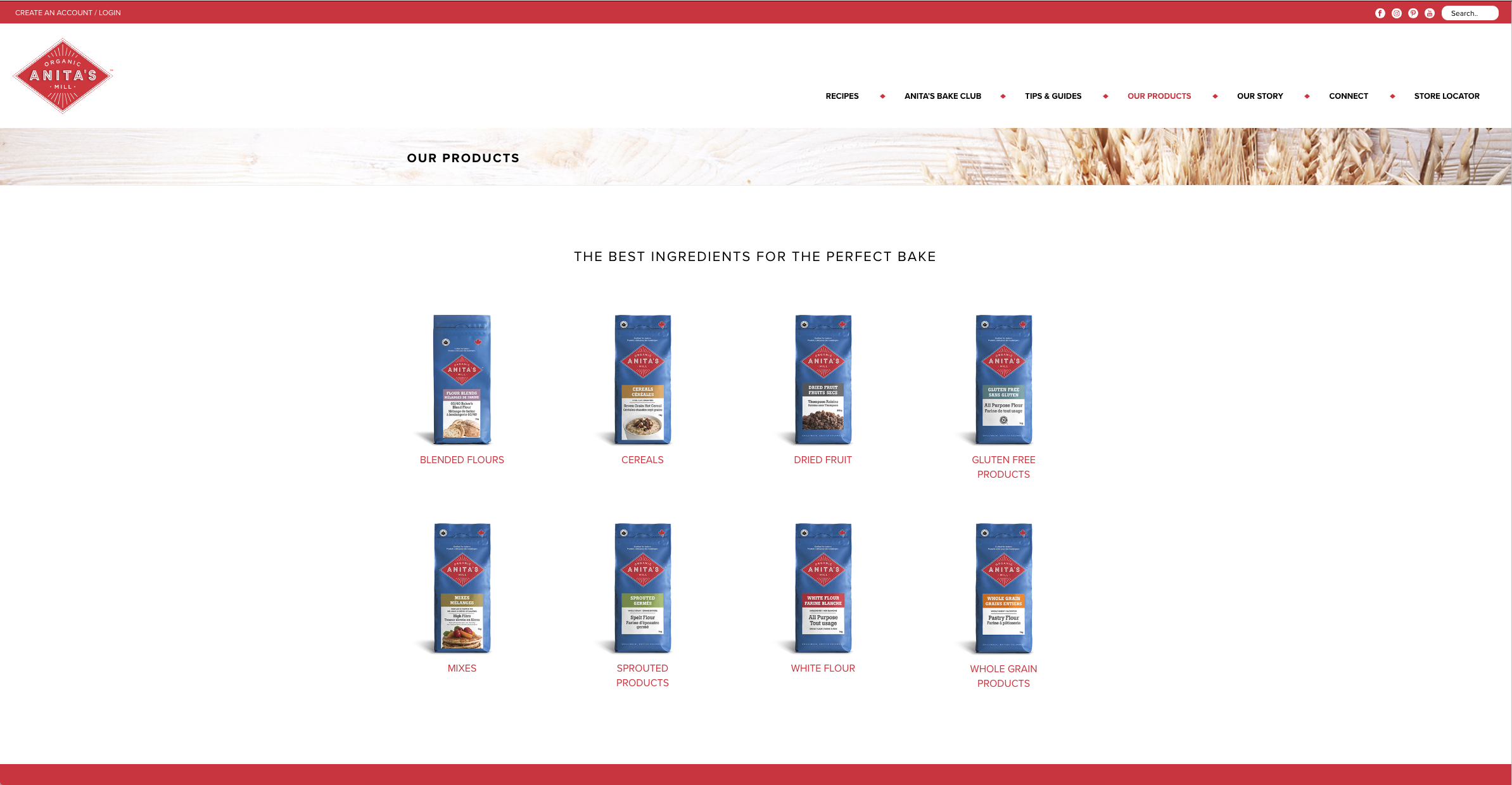 our products.png