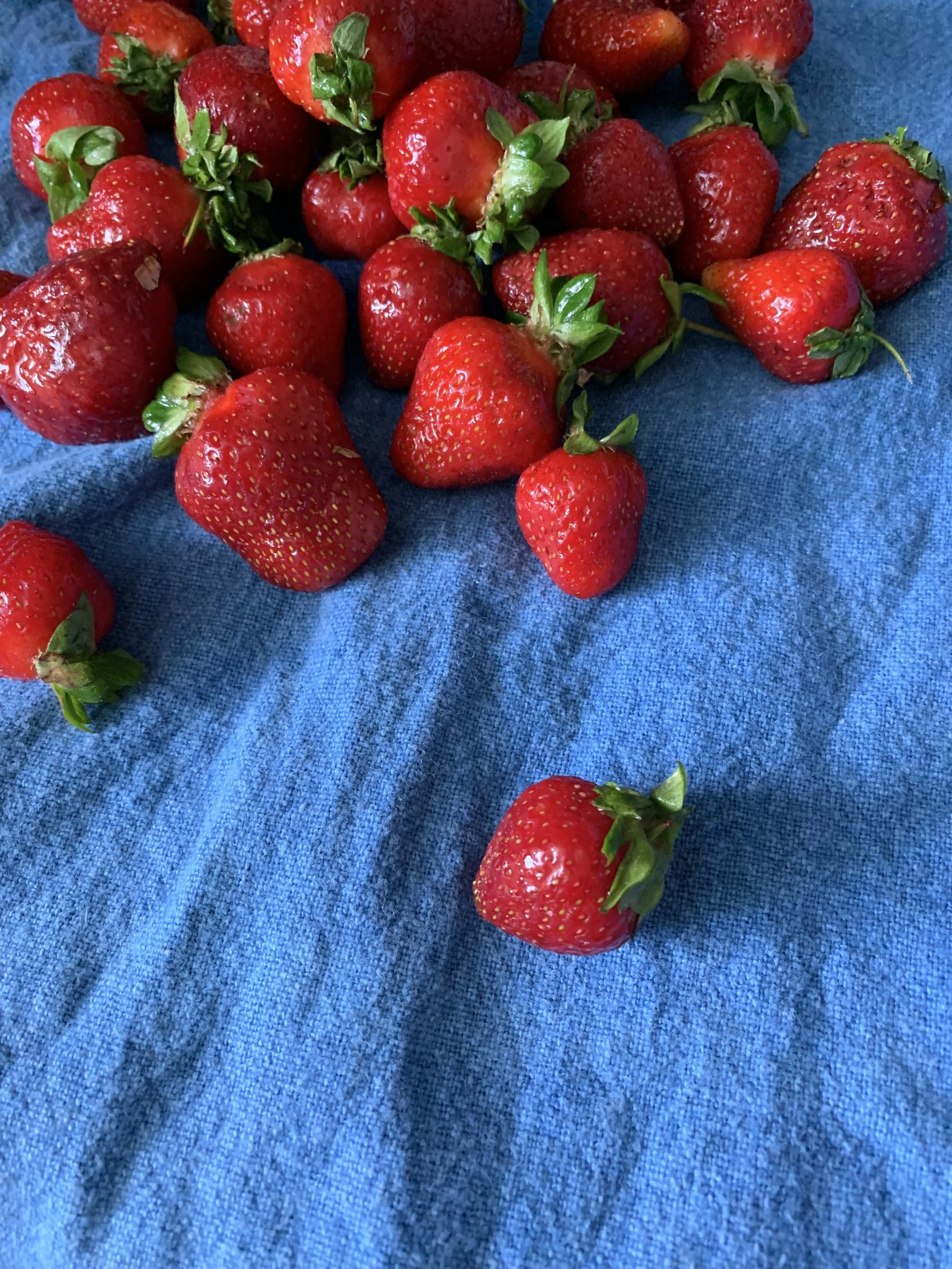 2019-06-06 13.33.03.jpg