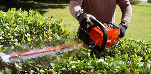 hedge trimmer.jpg