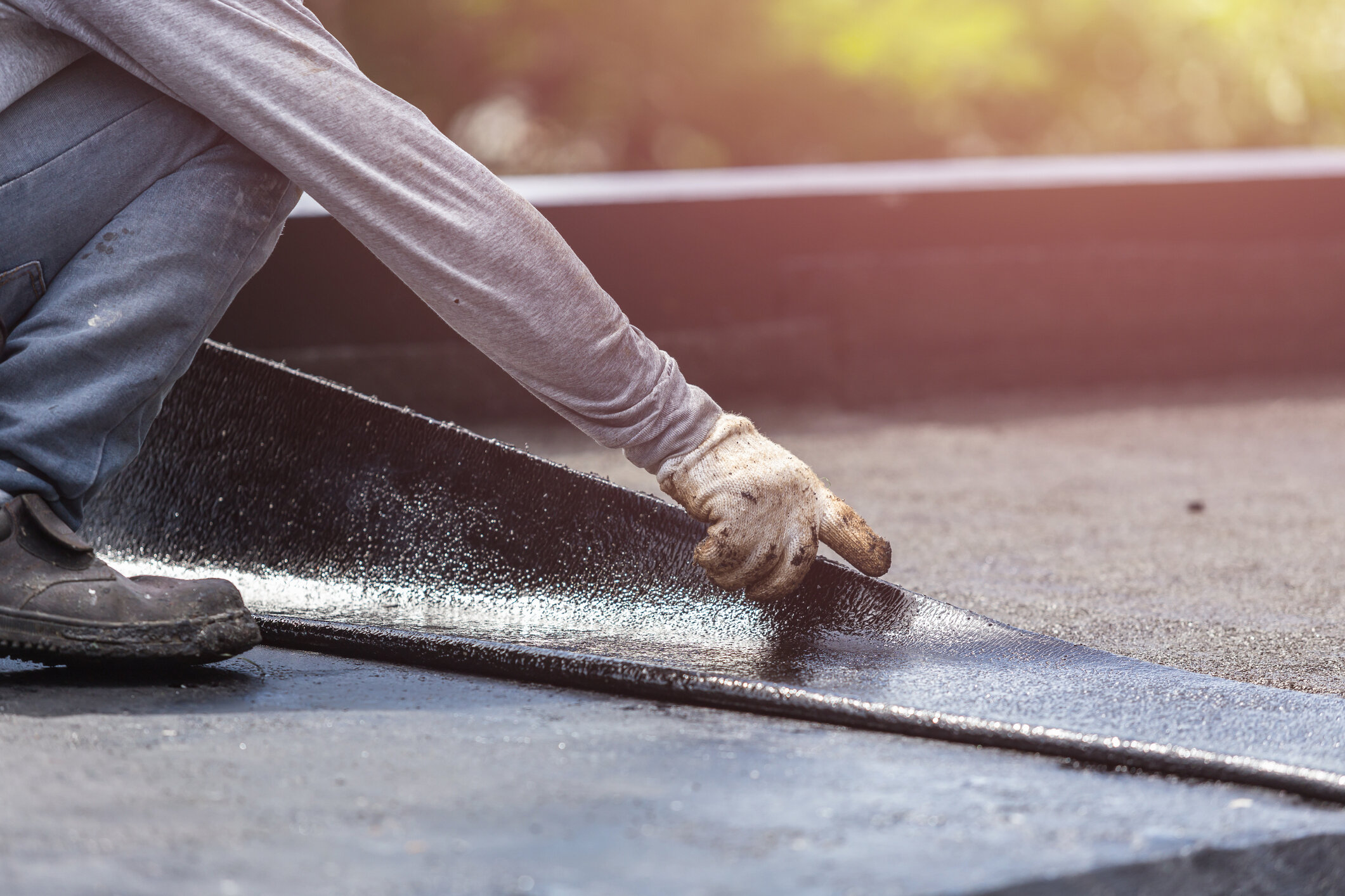 Flat Roof.jpg