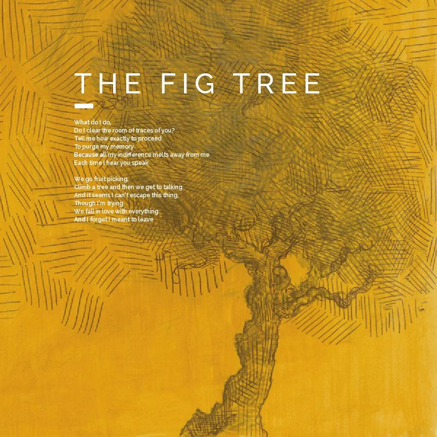 5-Fig Tree_000001.jpg