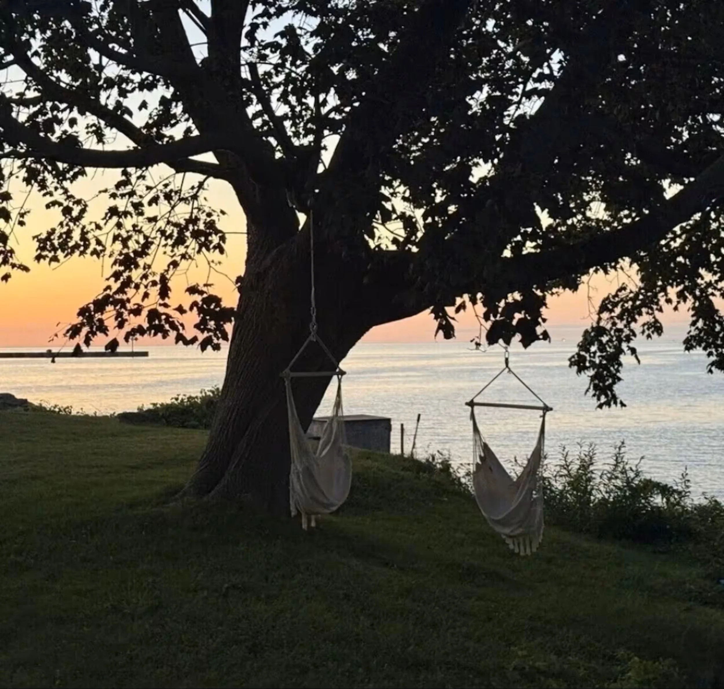 Hammock swings by the water's edge