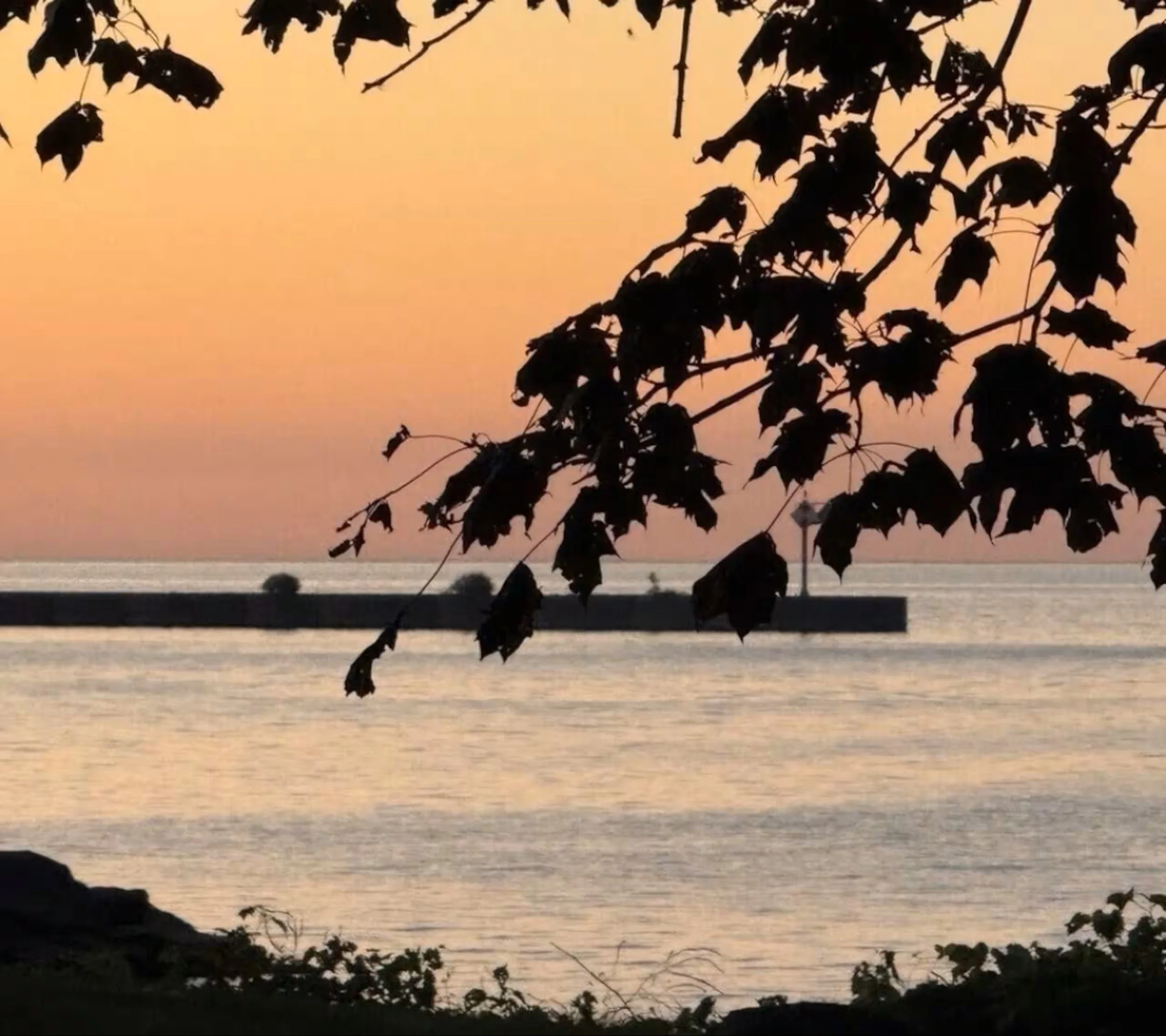 The pier as viewed from the cottage deck