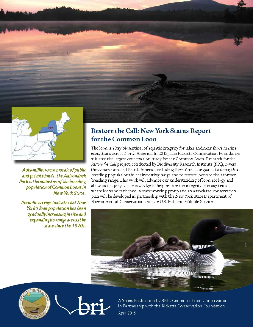 BRI-AdkLoon NY Loon Status Report-2015_Page_1.jpg