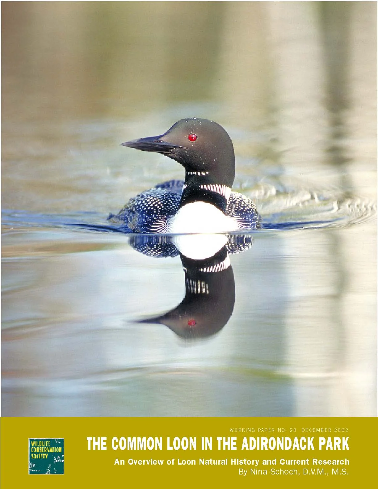 Cover- WCS Loon Working Paper #20.jpg