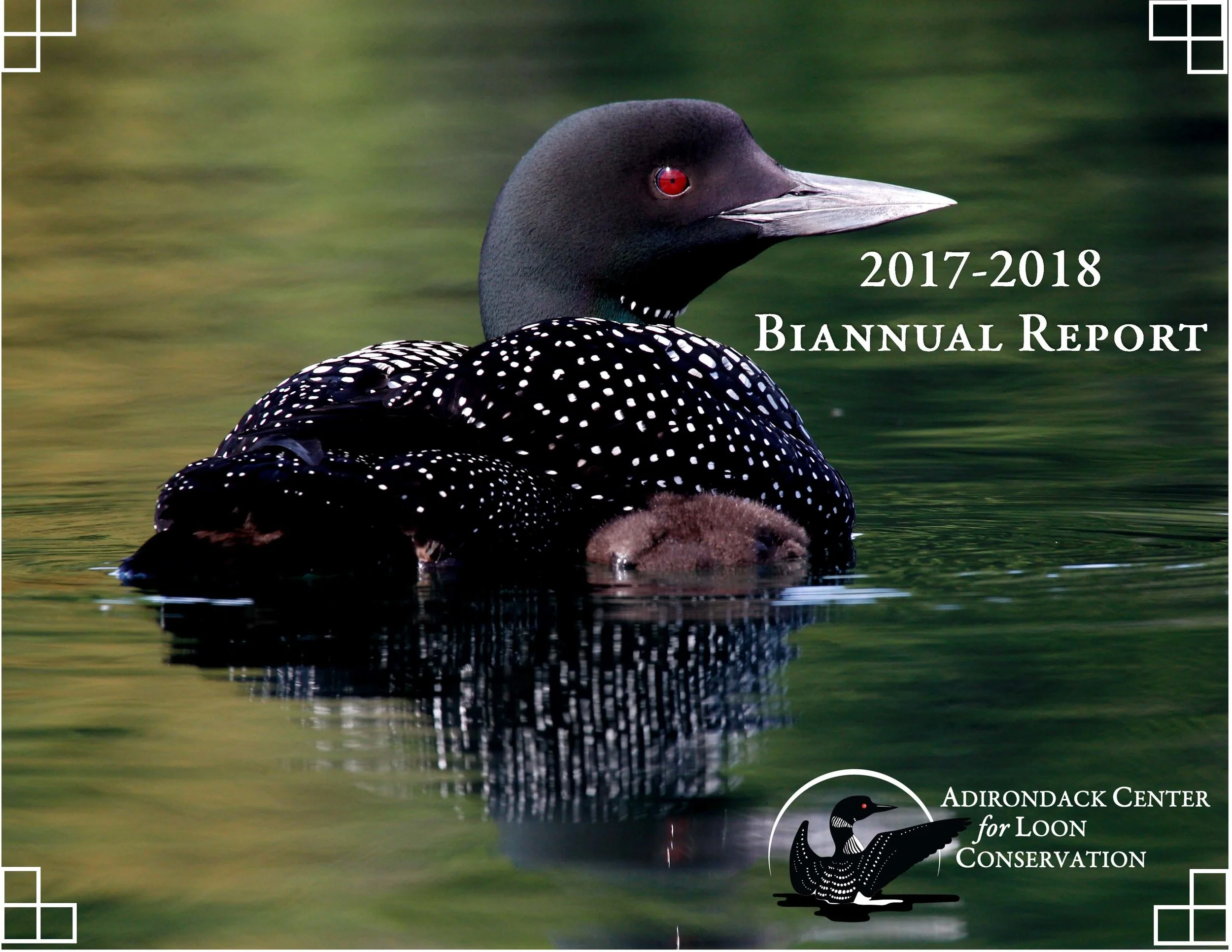 FY2017-2018 Annual Report 8-19-cvr pg.jpg