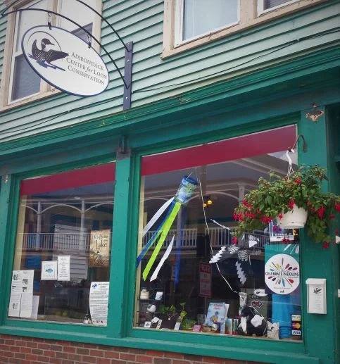Adirondack Loon Center, 15 Broadway, Saranac Lake, NY