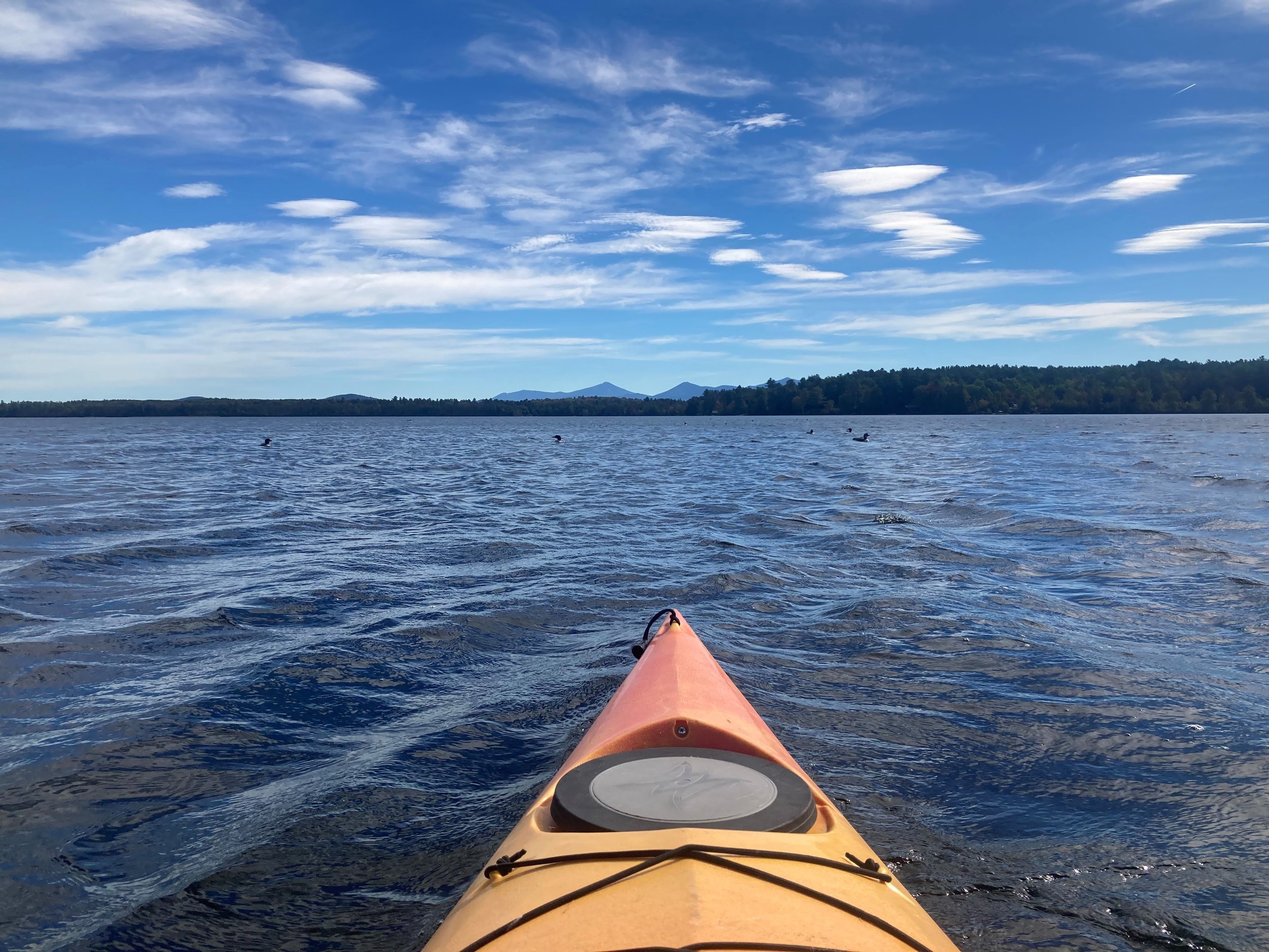 2021-JD Looking East on Lake Clear .jpg