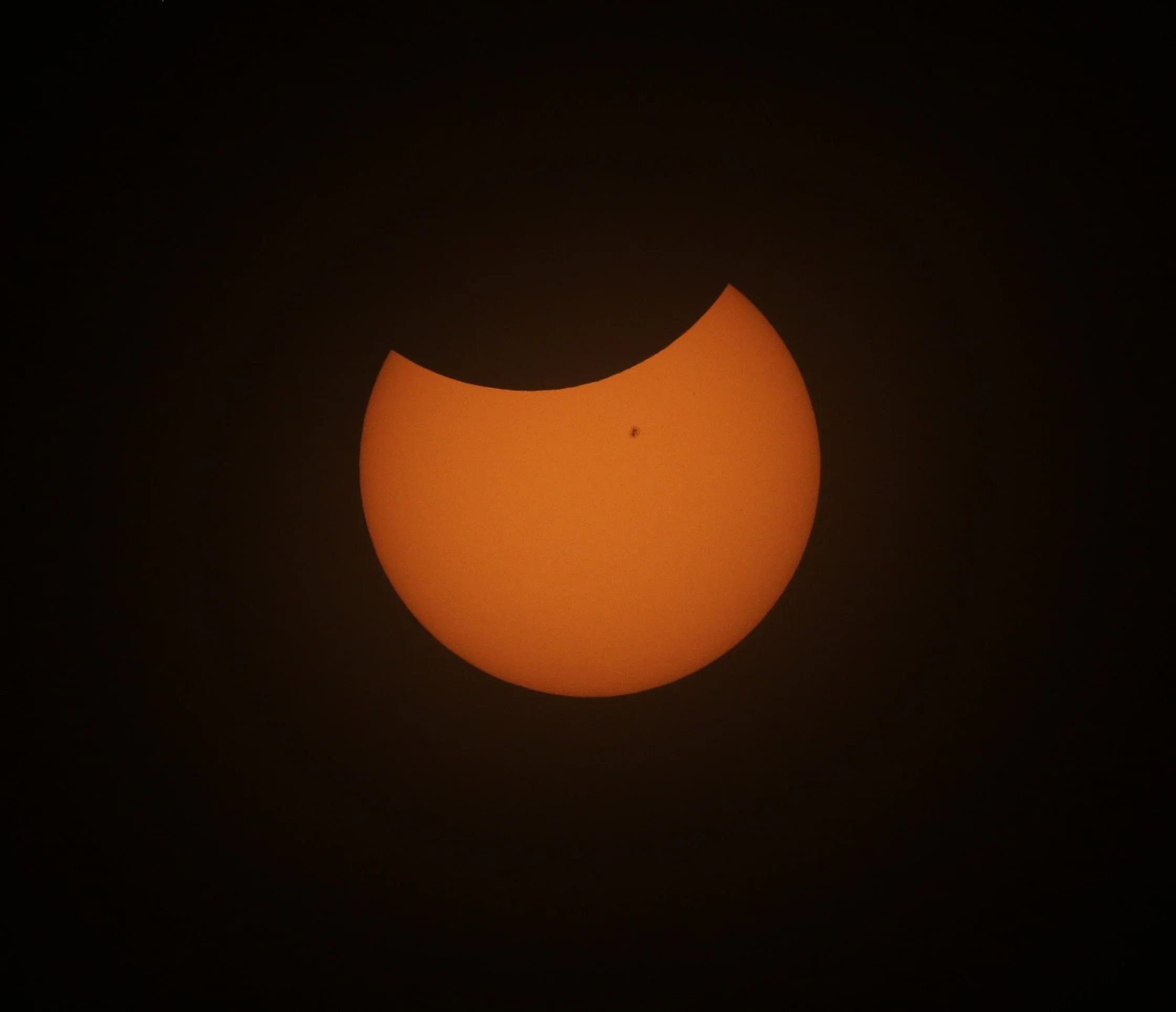 Total Eclipse with a Loon