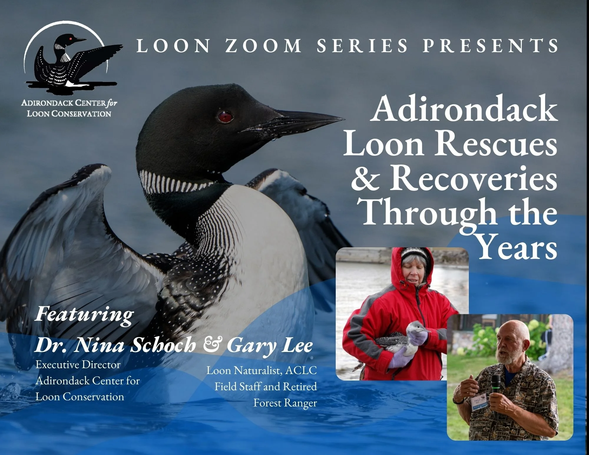 Events — Adirondack Center for Loon Conservation