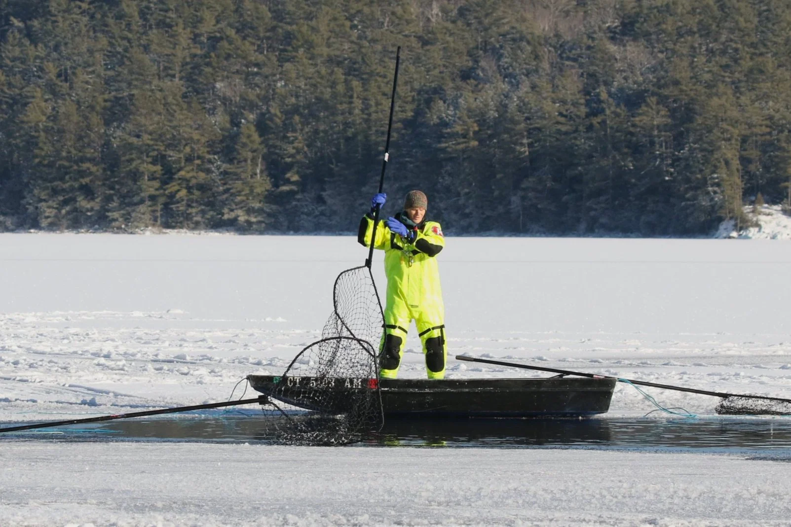 A Loon Rescue for the Holidays, Part 2 