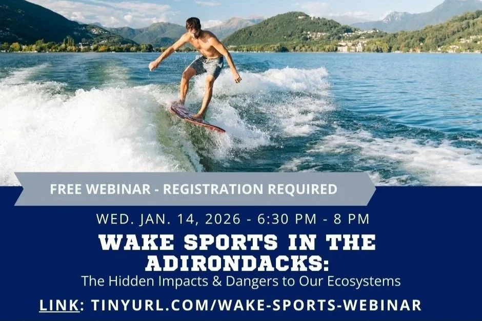 FREE WEBINAR - Wake Sports in the Adirondacks: The Hidden Impacts and Dangers to Our Ecosystems