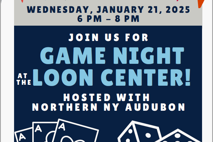 Game Night at the Loon Center 