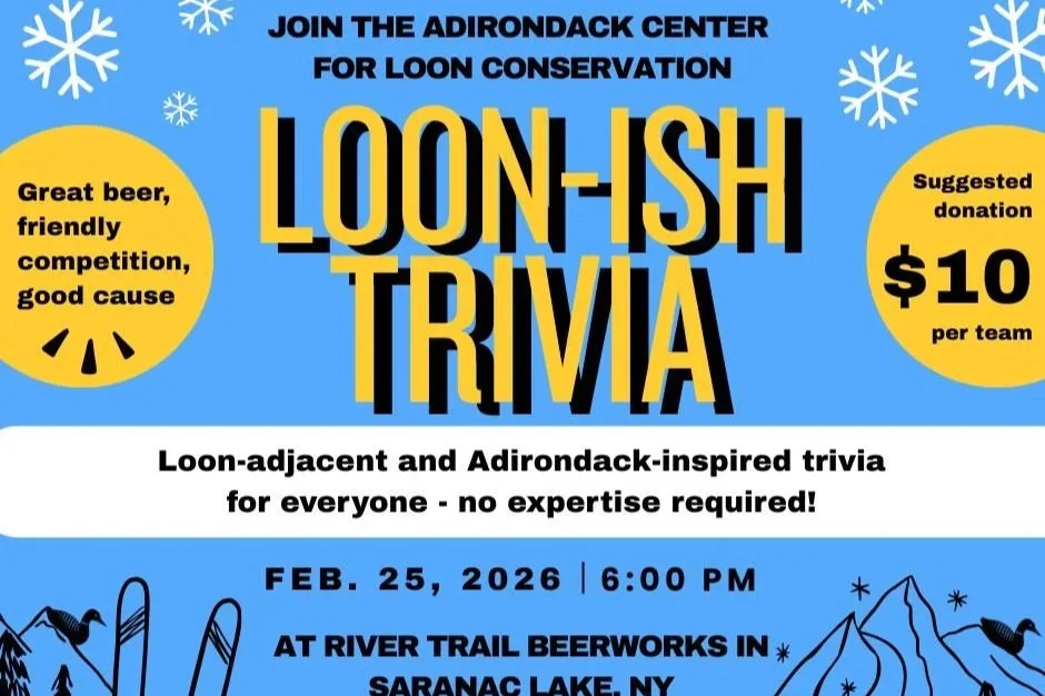 Loon-ish Trivia Night at River Trail Beerworks