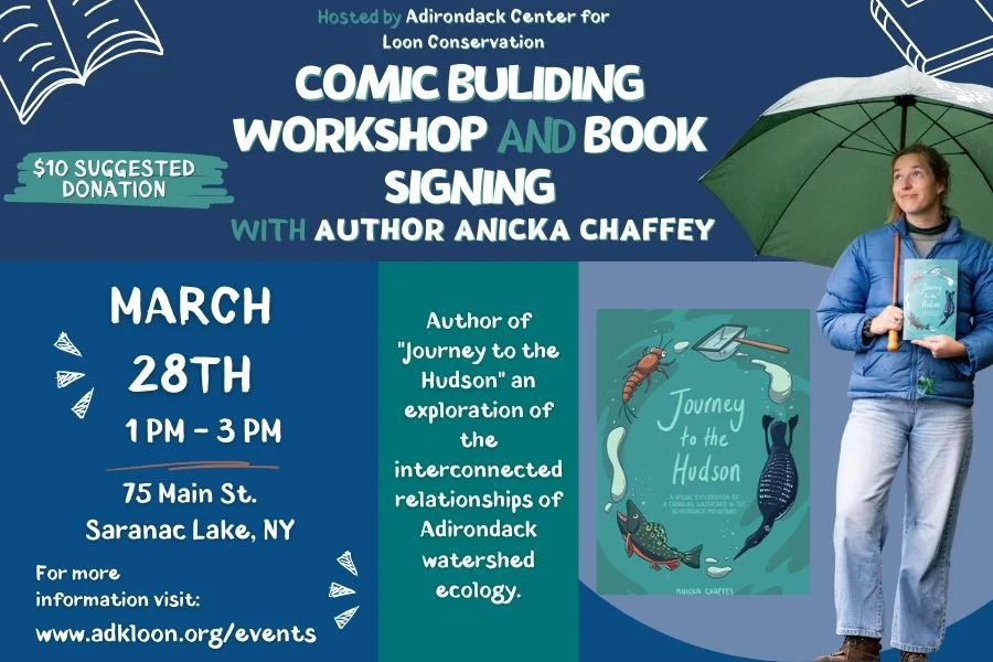 Comic Building and Book Signing with author Anicka Chaffey