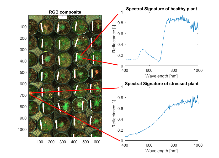 preliminary_data_spectralsignature.png