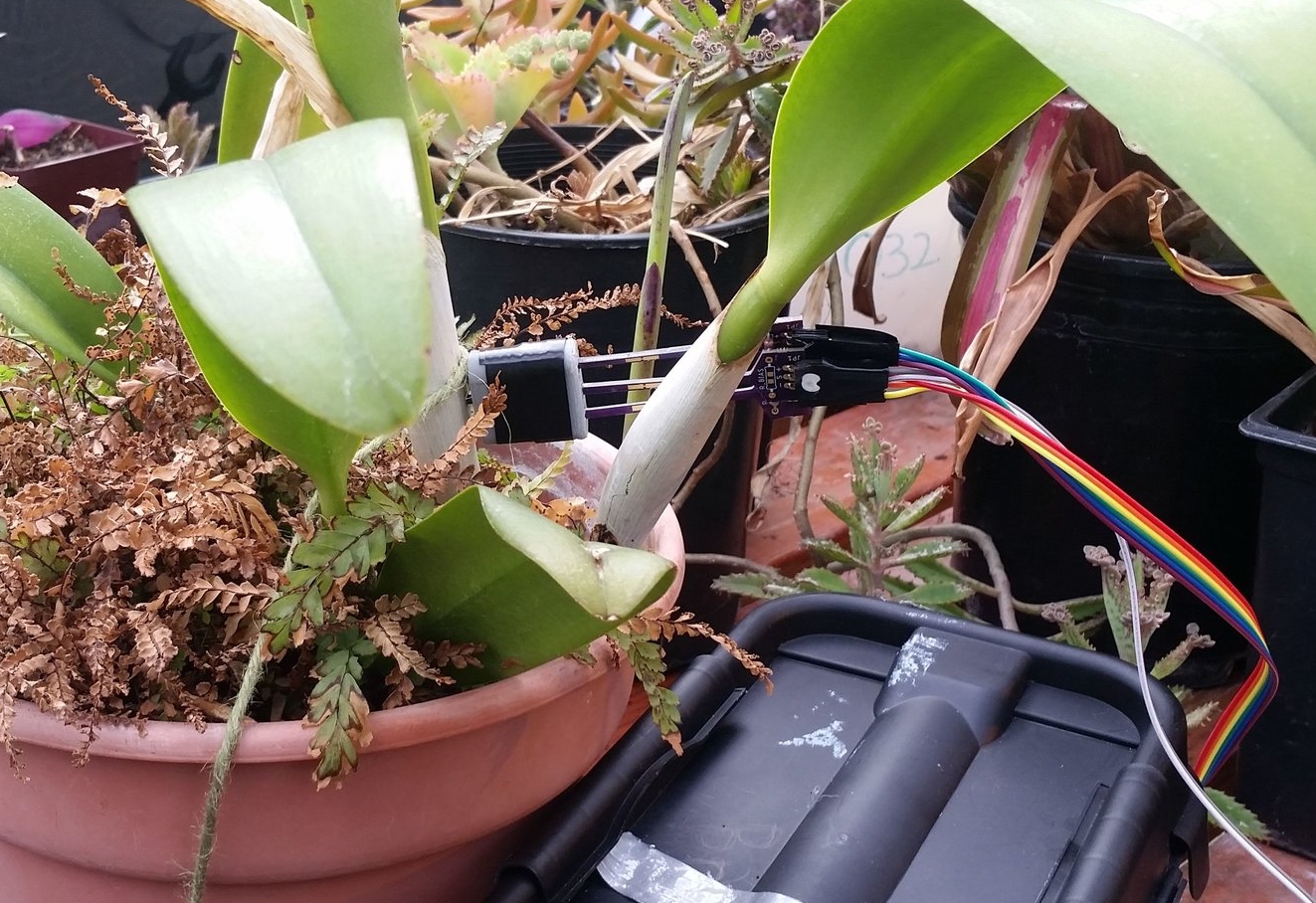 Probes installed in an Orchid. Notice the orientation of the probes, the pcbs are all facing the same direction.