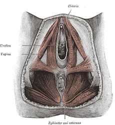 image408.jpg