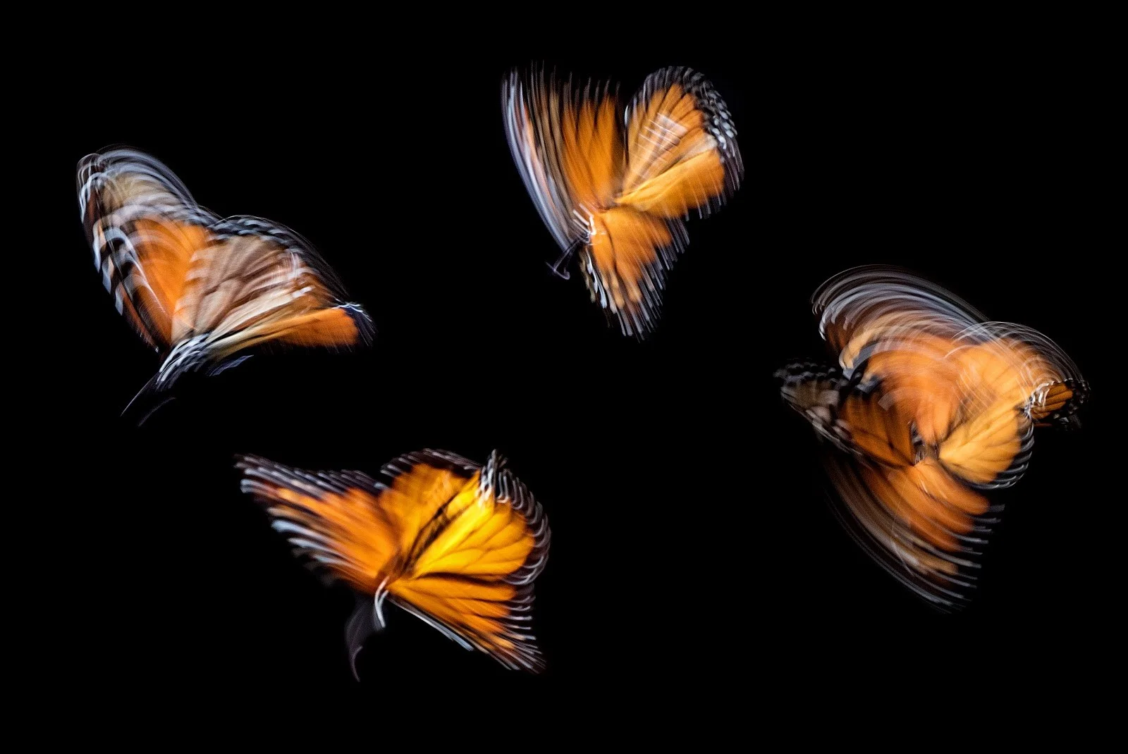 Photo by Ian Parker on Unsplash