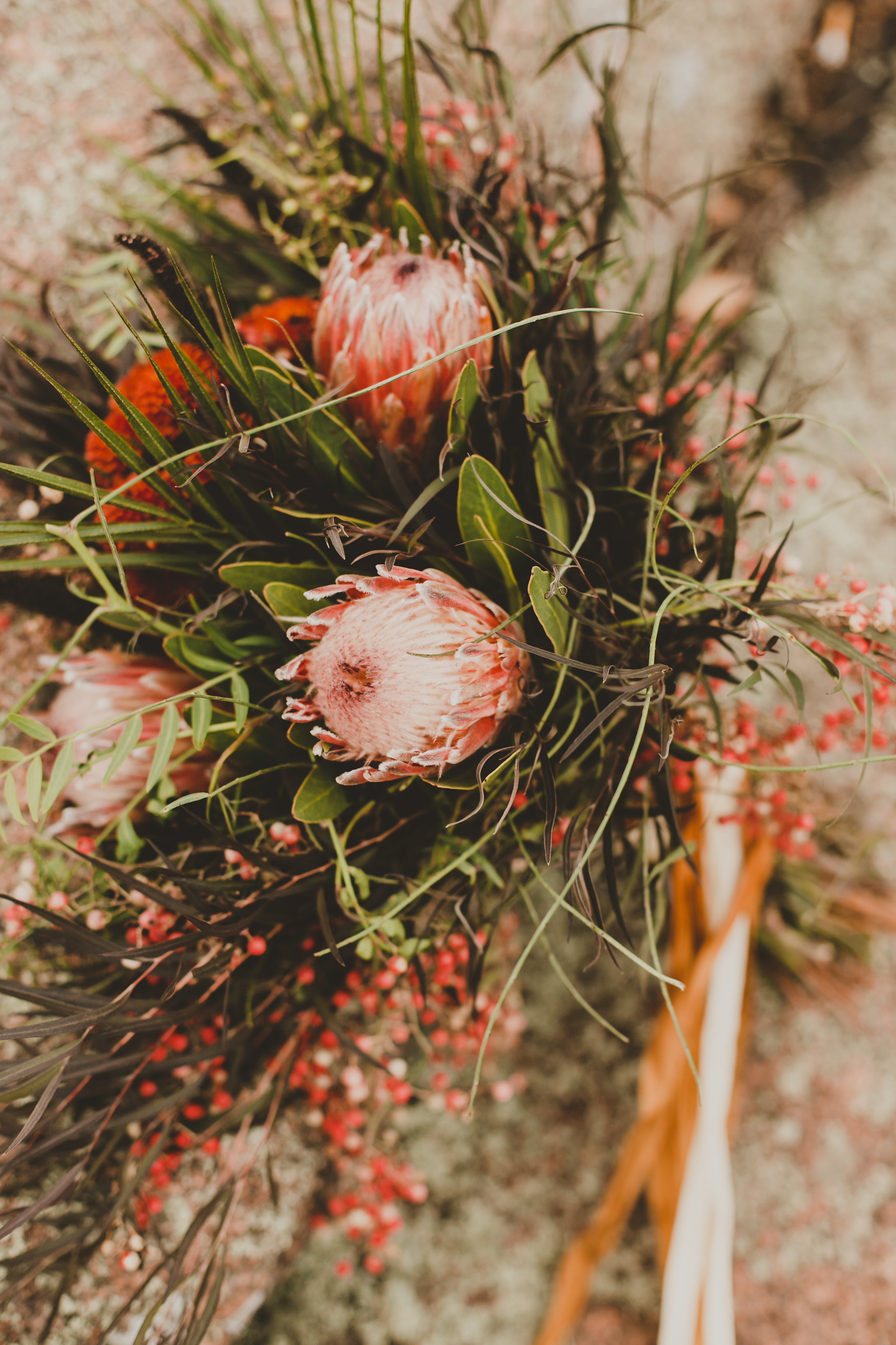 PattengalePhotography__StyledShoot_Wes&Jess_ElephantRockStatePark_Boho_Modern_StLouis_-4.jpg