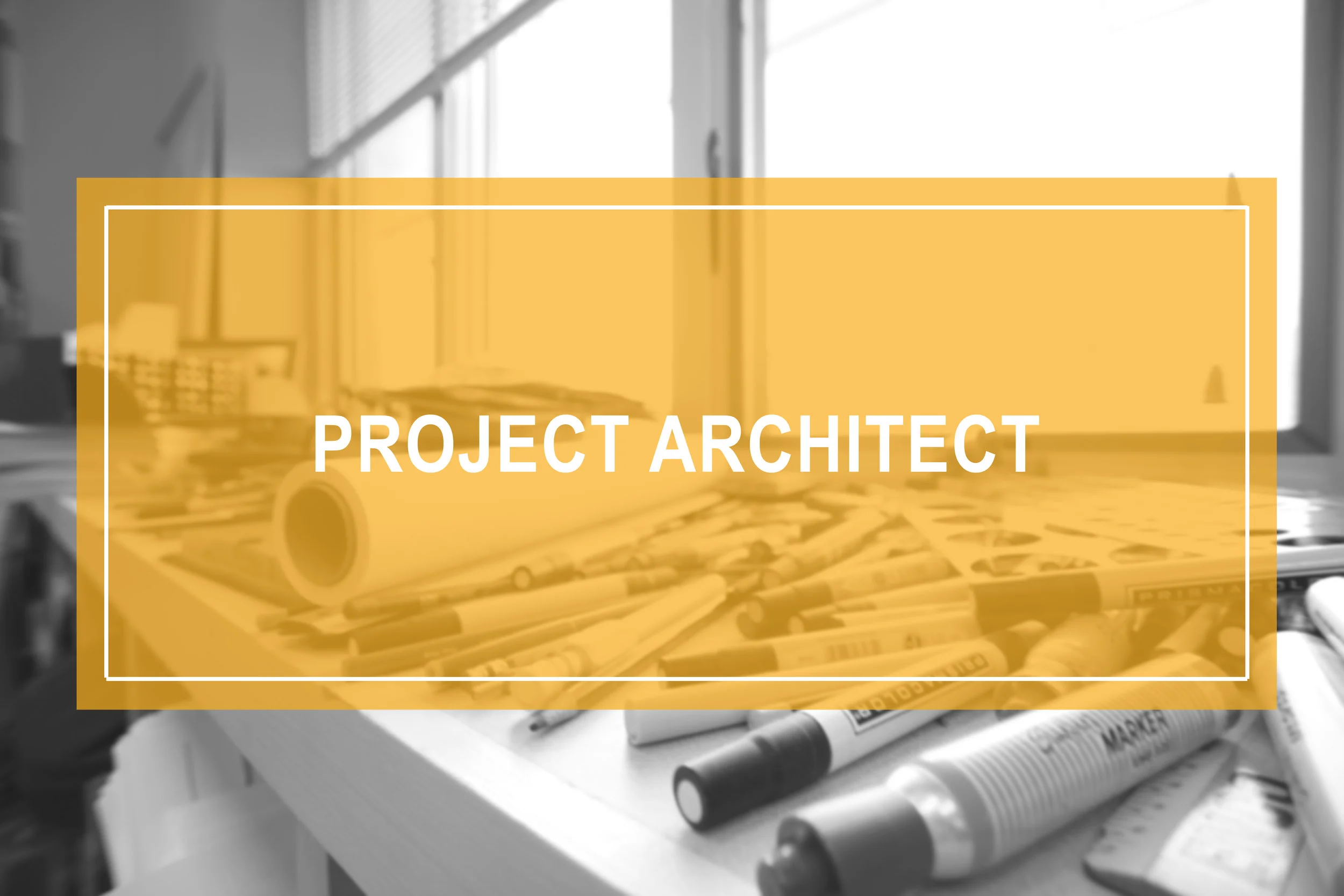 project architect.jpg