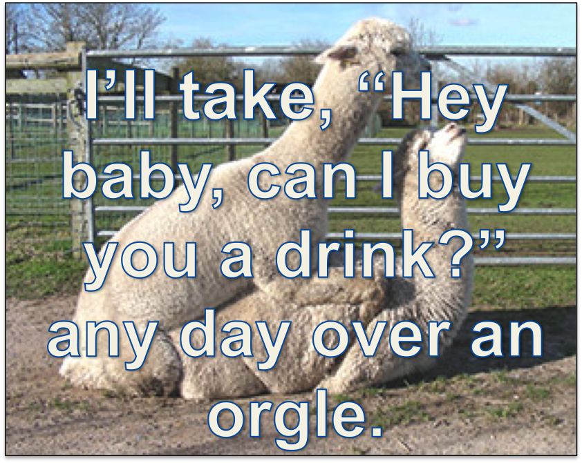 orgle.png