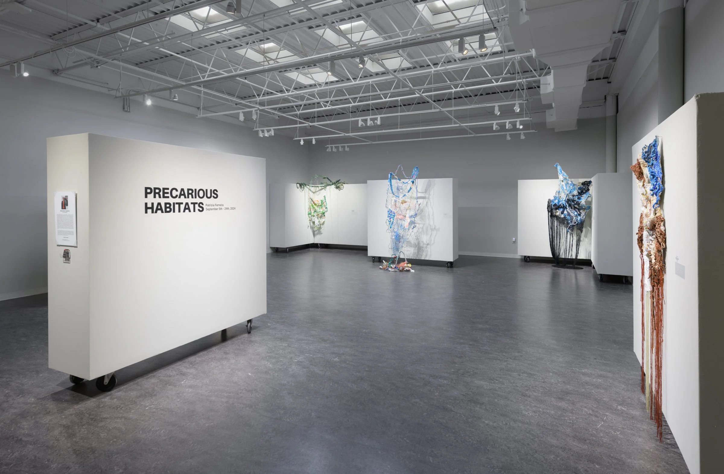  Patrizia Ferreira,   Precarious Habitats,   Frankie G. Weems Gallery, Meredith College   
