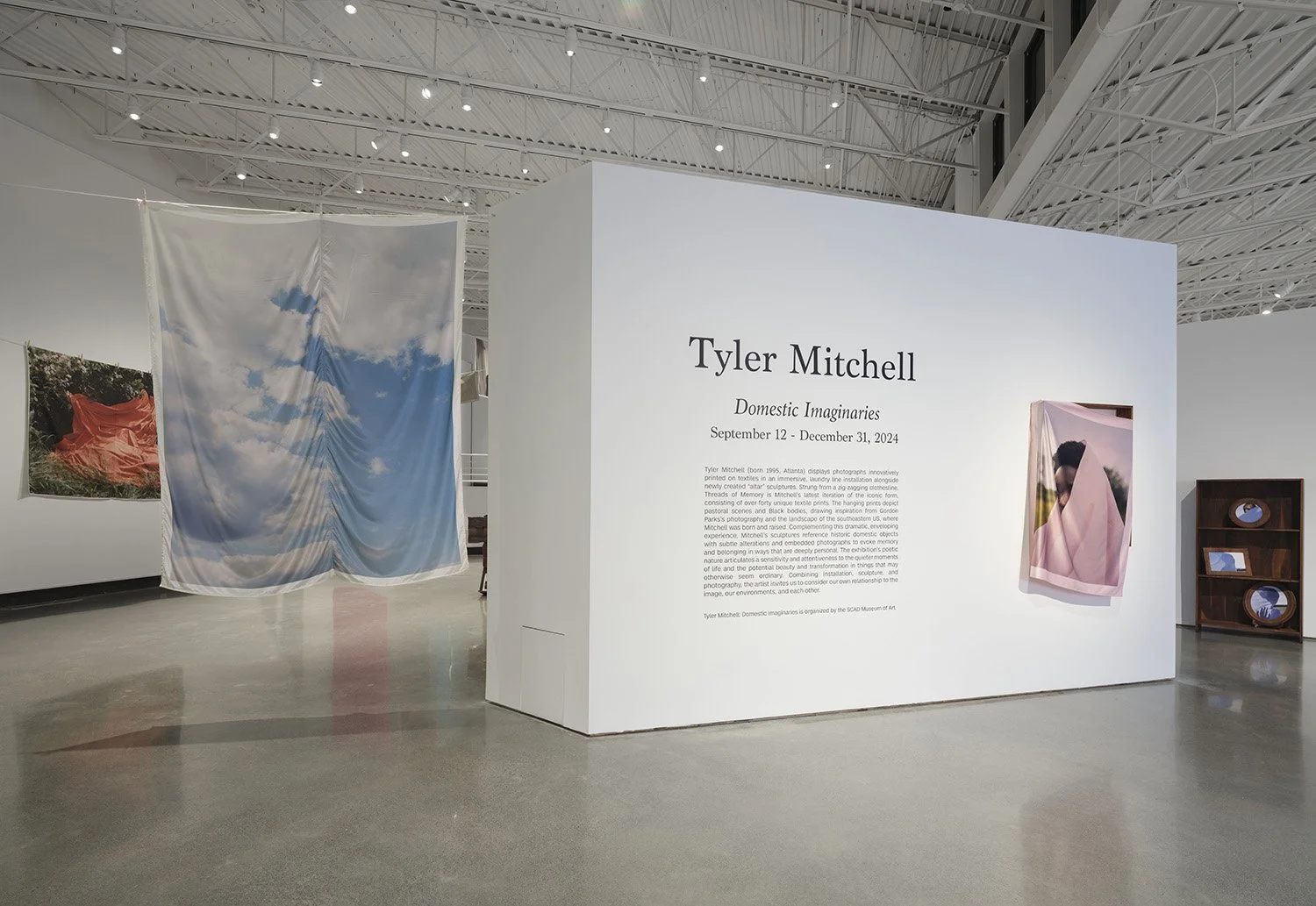  Tyler Mitchell,   Domestic Imaginaries  , NCMA-Winston Salem (formerly SECCA)   