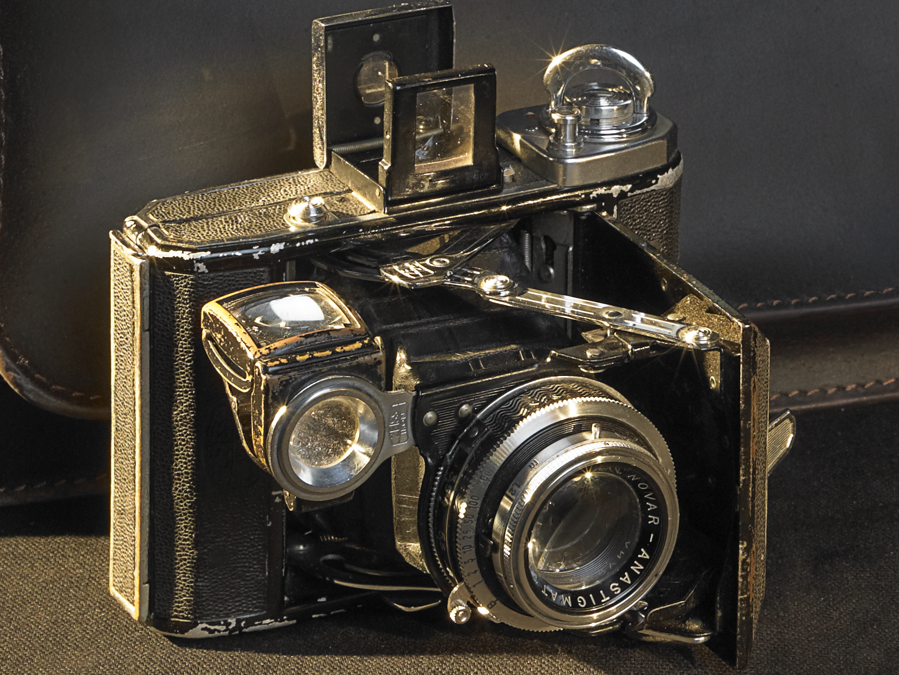 Marguerite medium format picture 50% zoomed