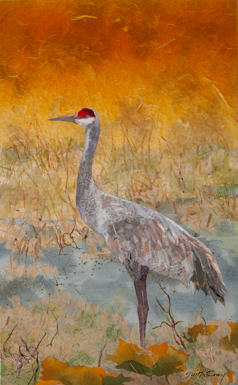 Sandhill Crane