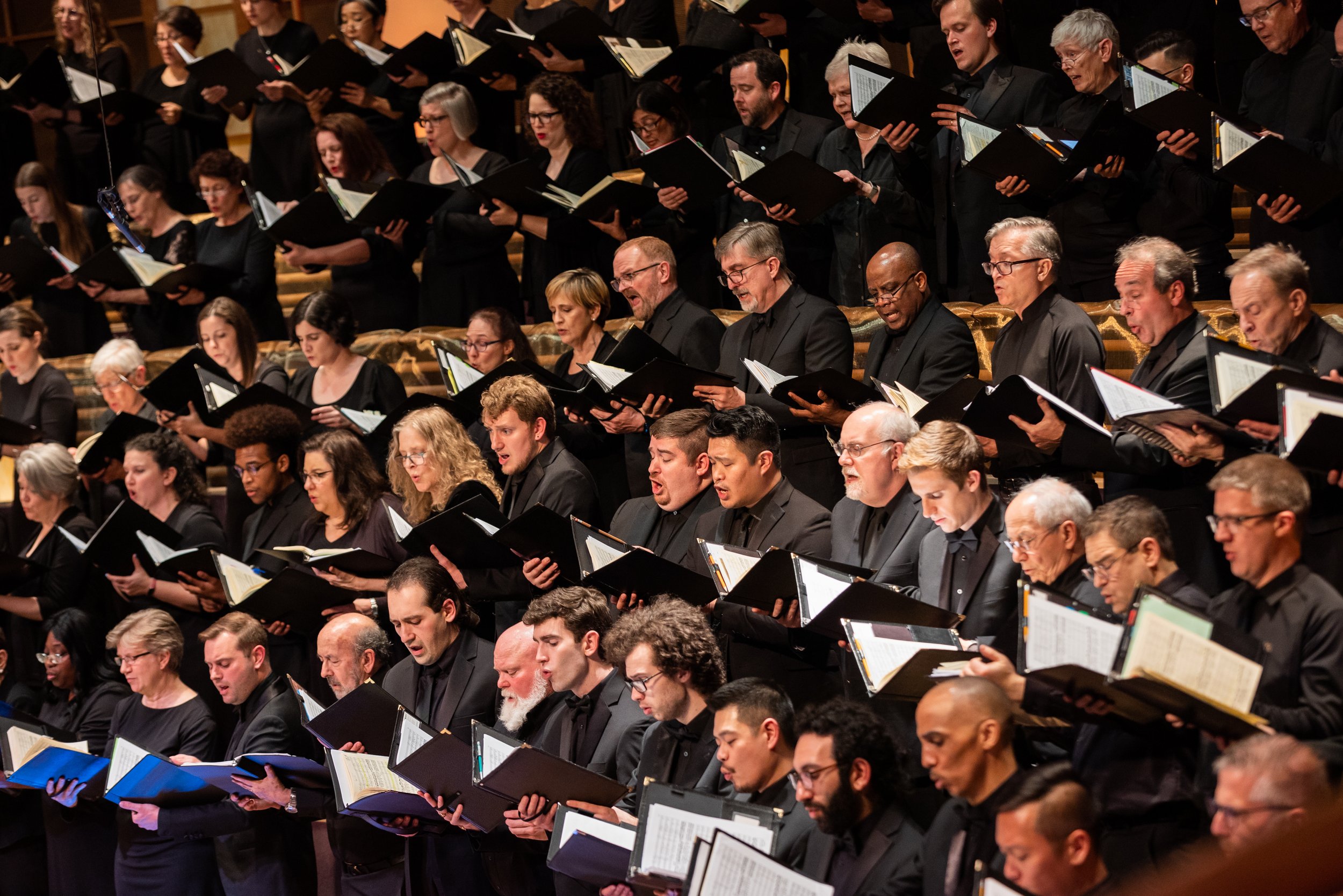 Experience Blog — The Washington Chorus