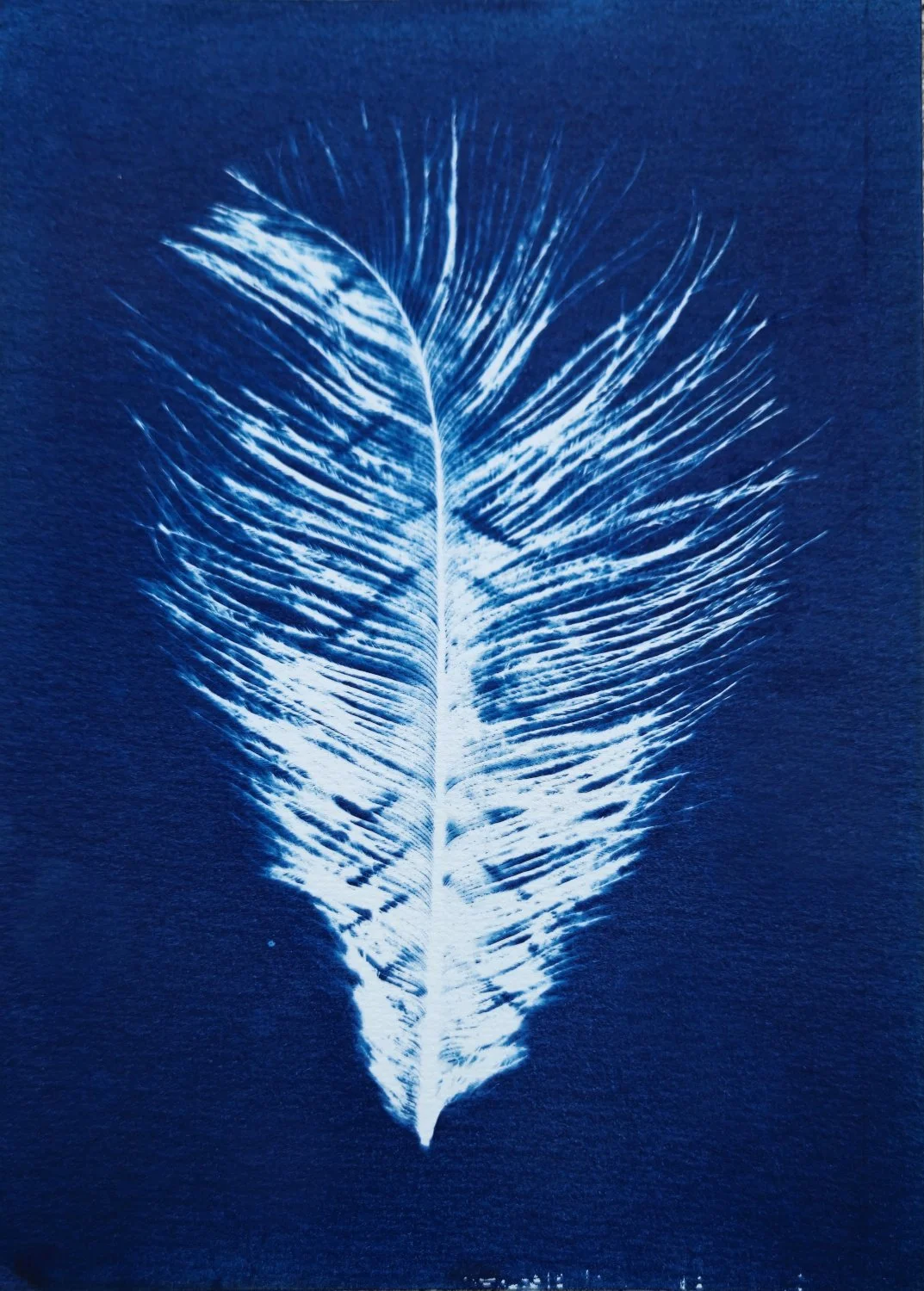 LeblancDeschenesJosée 02-.jpg