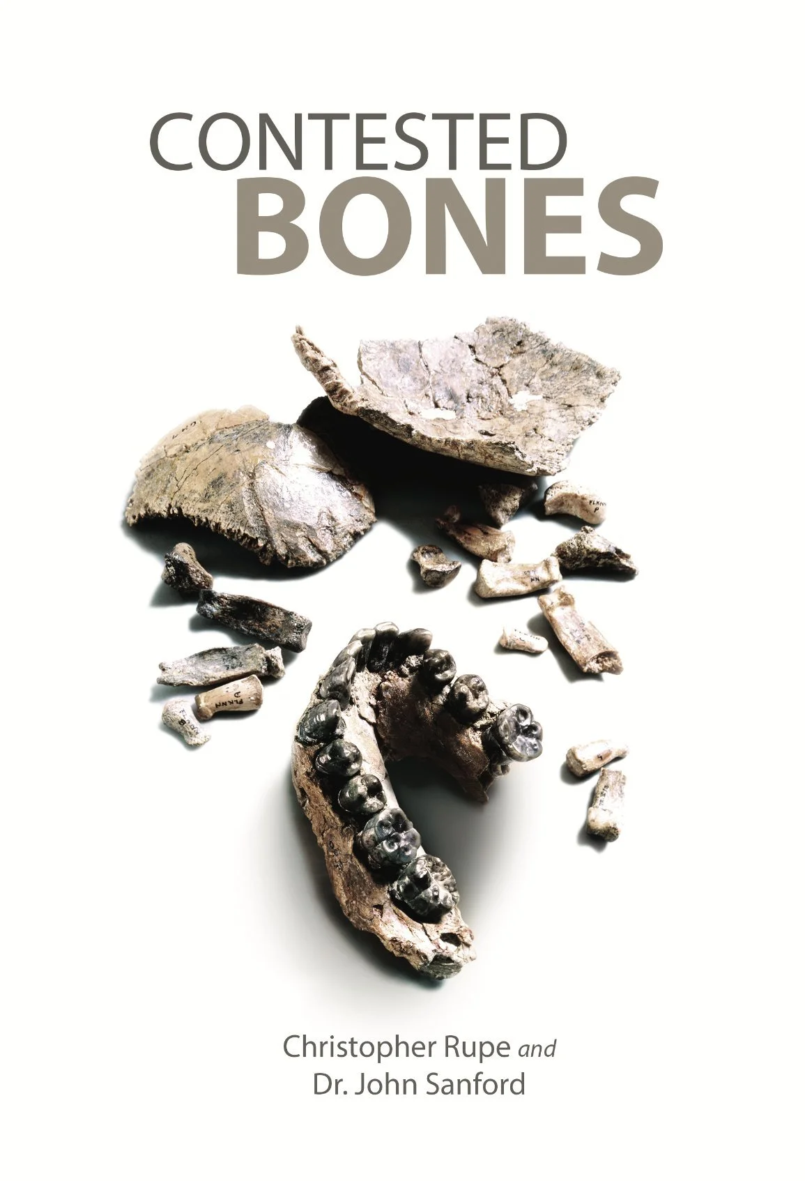 Contested Bones.jpg