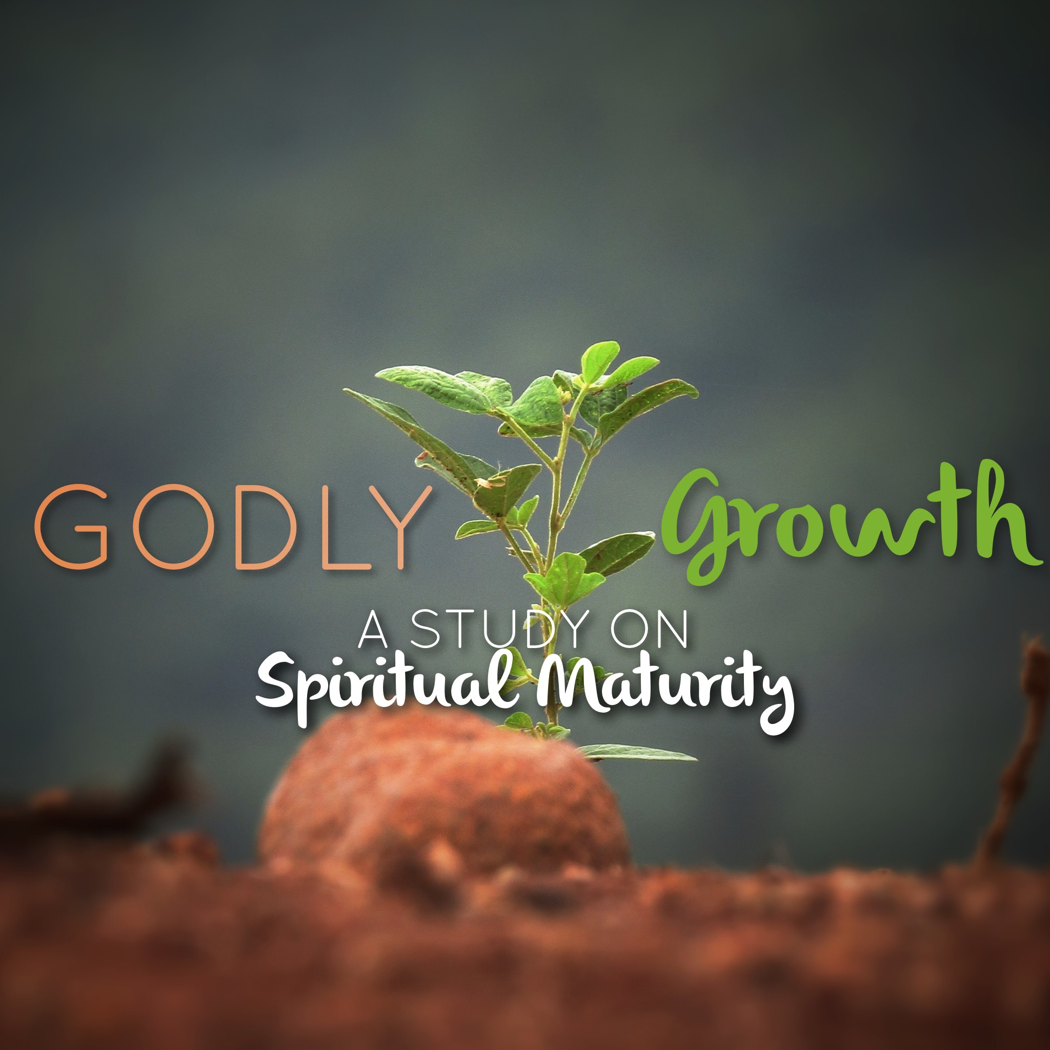 Godly Growth