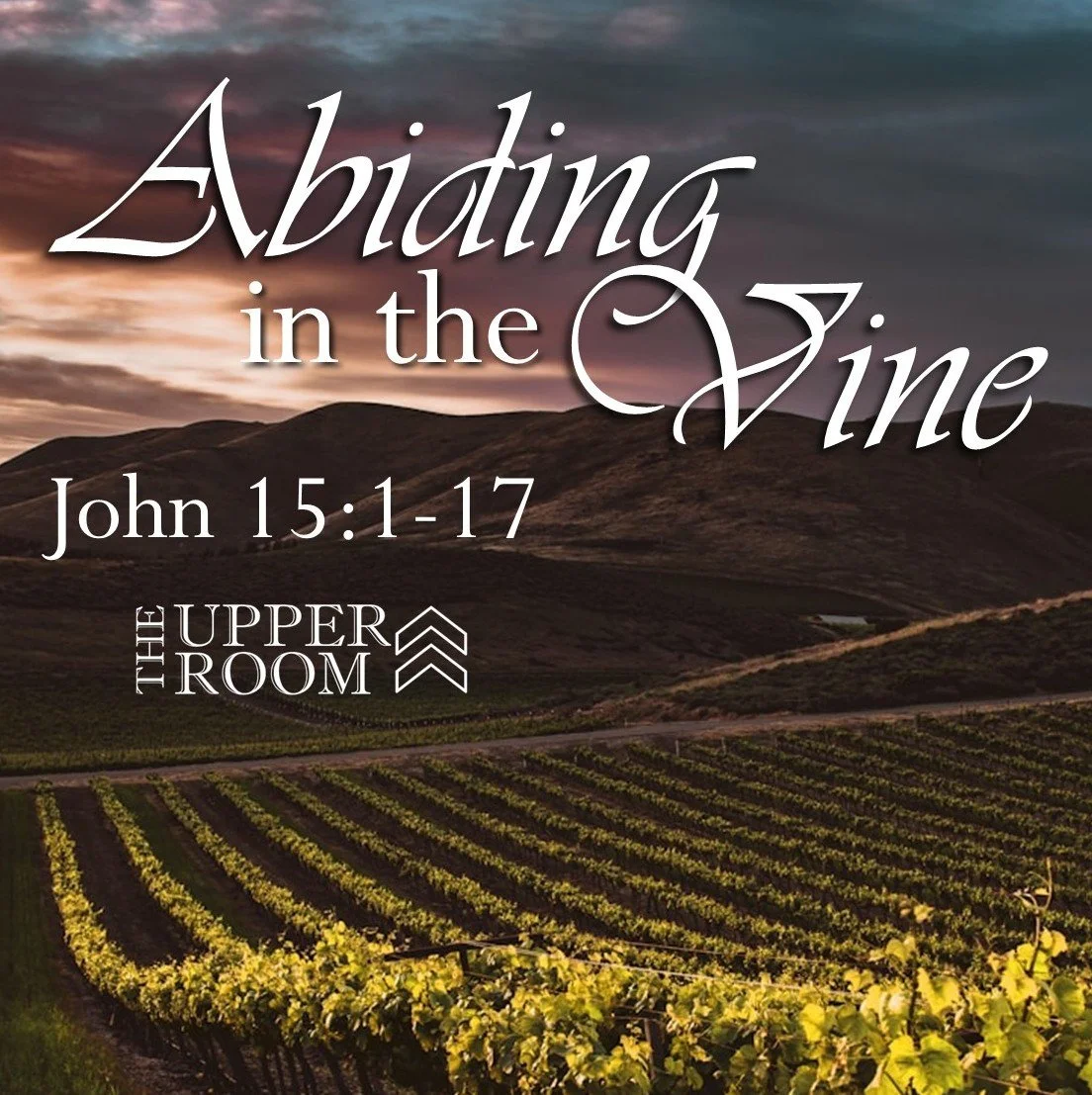 The Upper Room: Abiding in the Vine