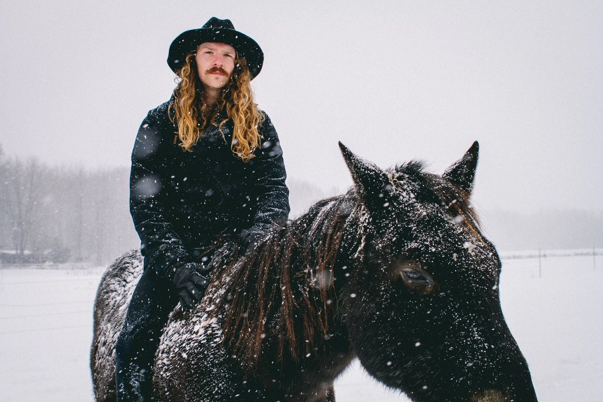 Boyne_Horses-31.jpg