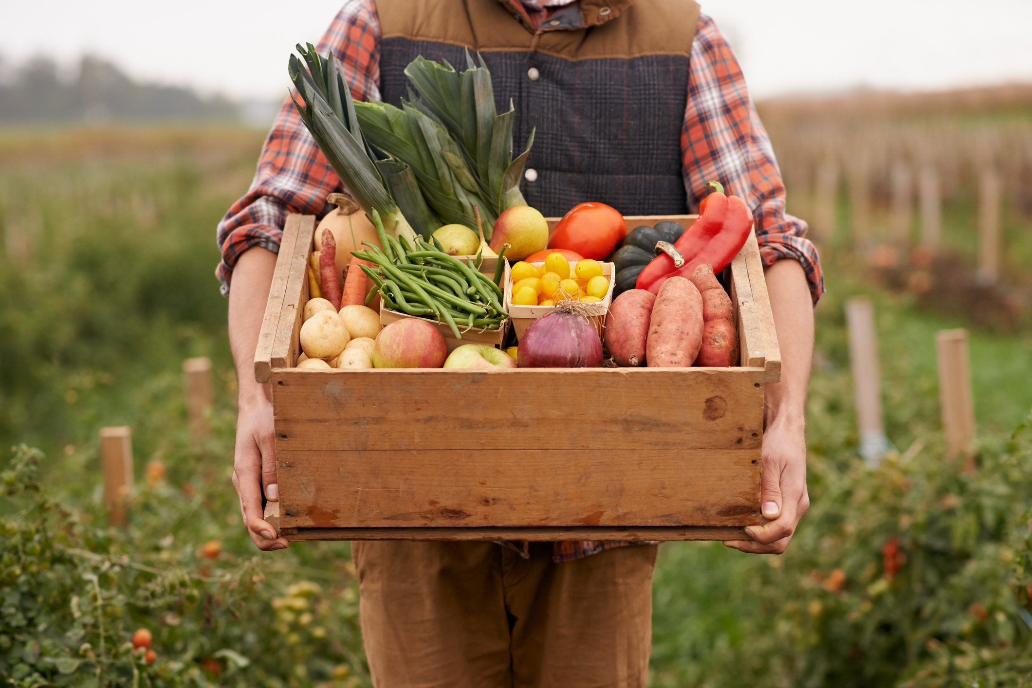 Photo by jeffbergen/iStock / Getty Images