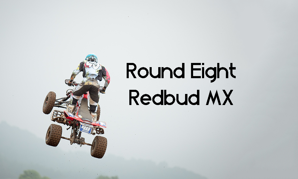 redbud2.png